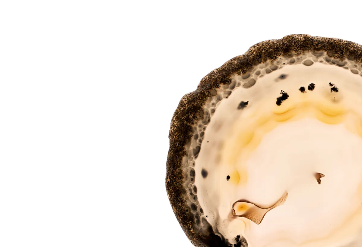 Quartz mineral still life photography by Scanderbeg Sauer